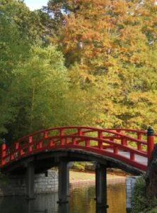 2026 Memphis Real Estate Market. East Memphis Botanic Garden