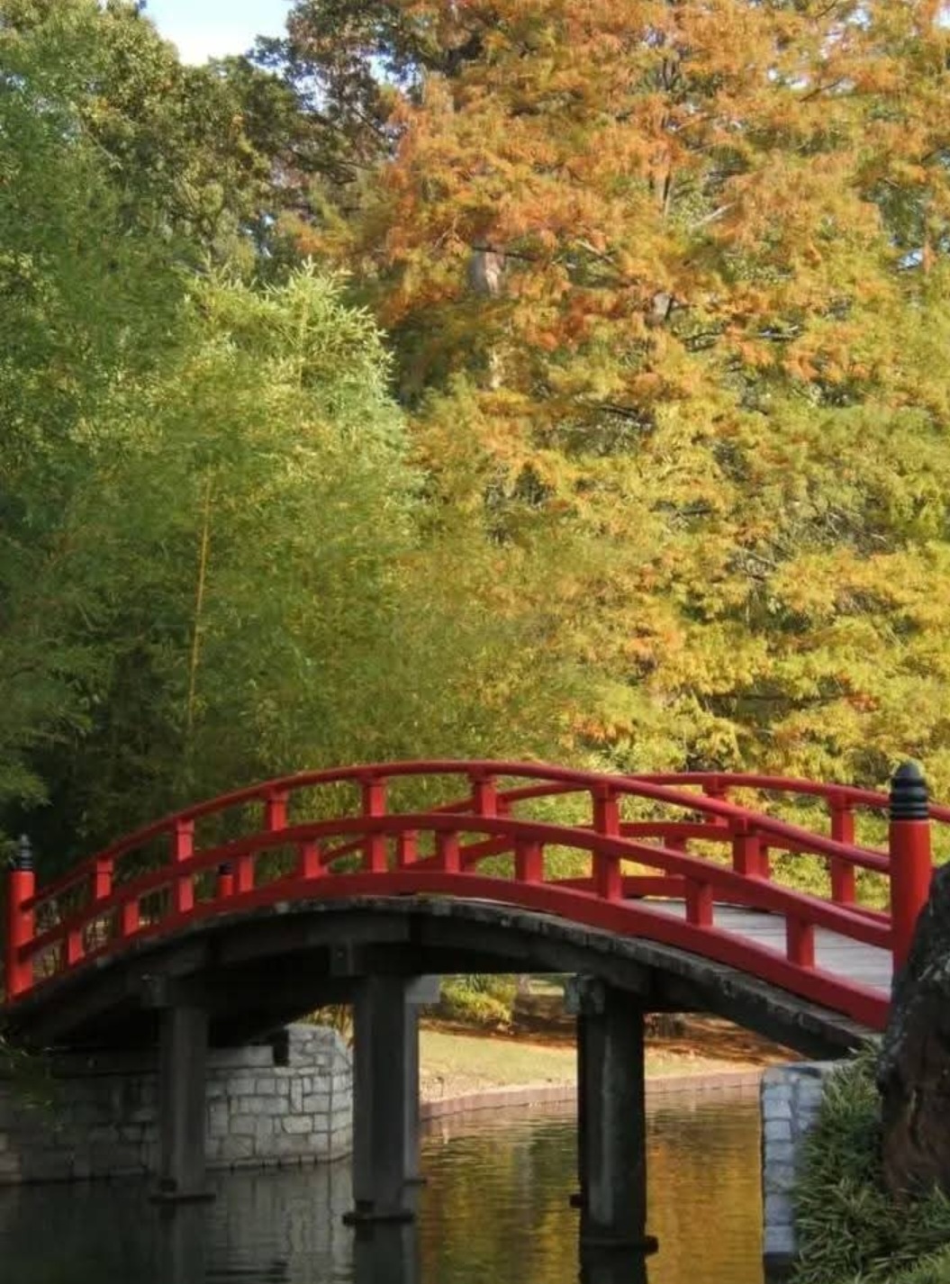 East Memphis Botanic Garden. Why Memphis neighborhoods are changing in 2026