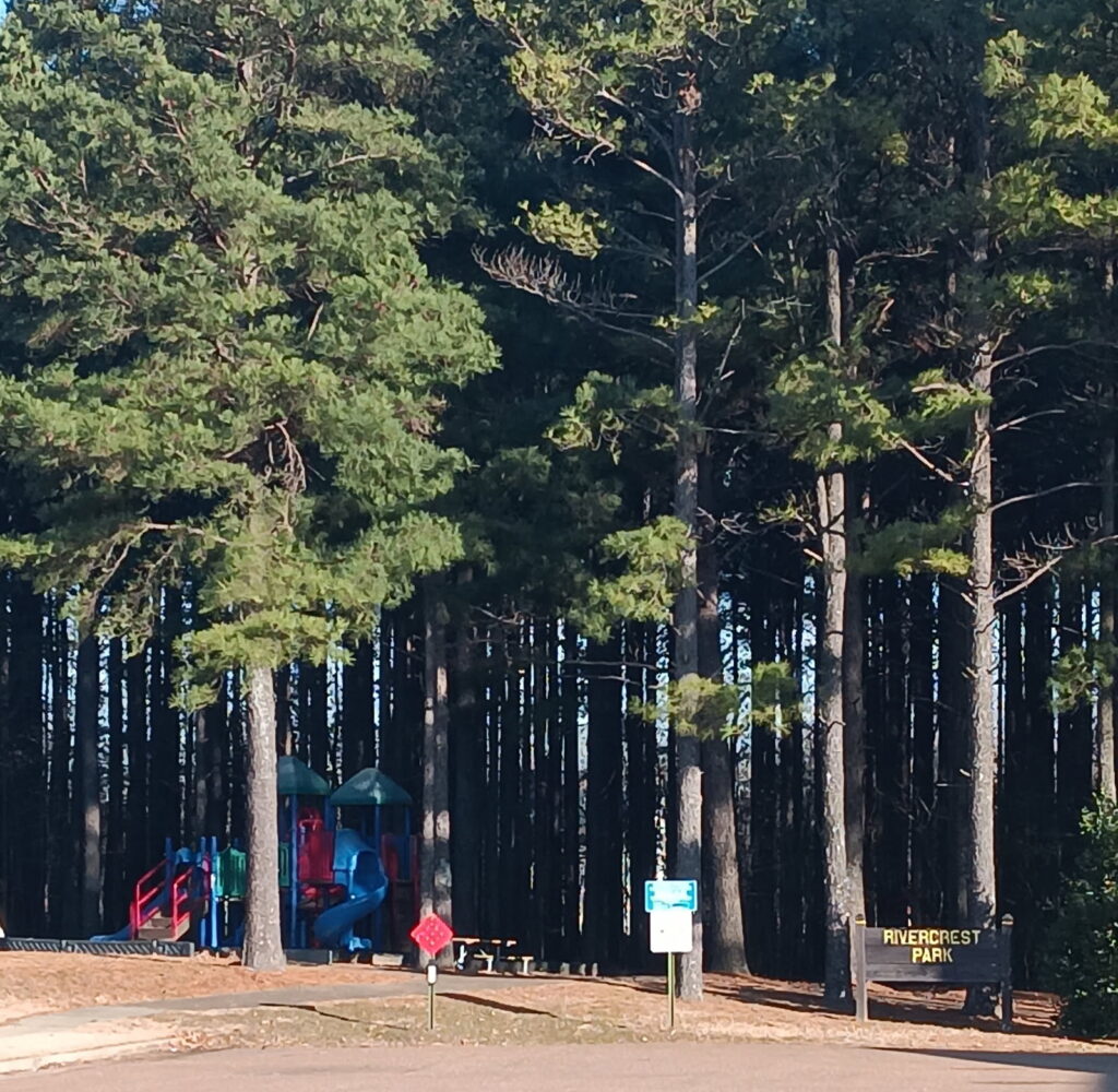 Rivercrest Park in one of Bartlett, TN Neighborhoods