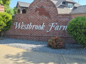 Local Bartlett REALTOR knows the area.