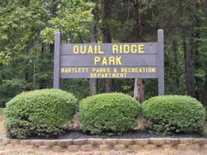 Choosing the Right Real Estate Agent in Bartlett, TN